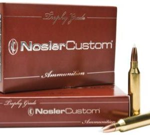 TG AMMO 243 WIN 85 GR